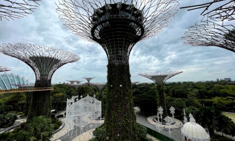 Gardens By the Bay