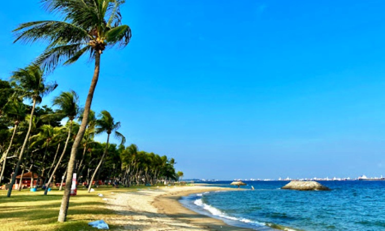 Pantai East Coast