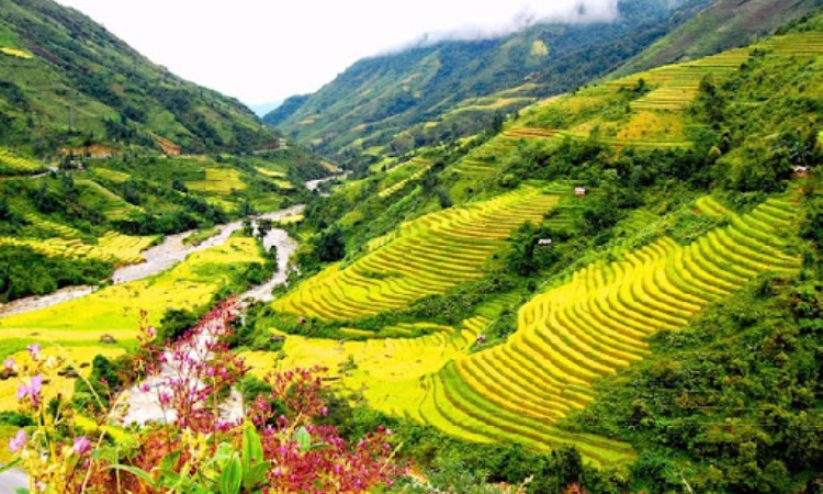 Pedesaan Sa Pa Terraces Lao Cai