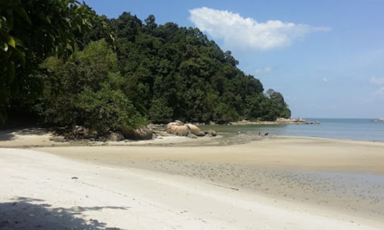 Penang National Park