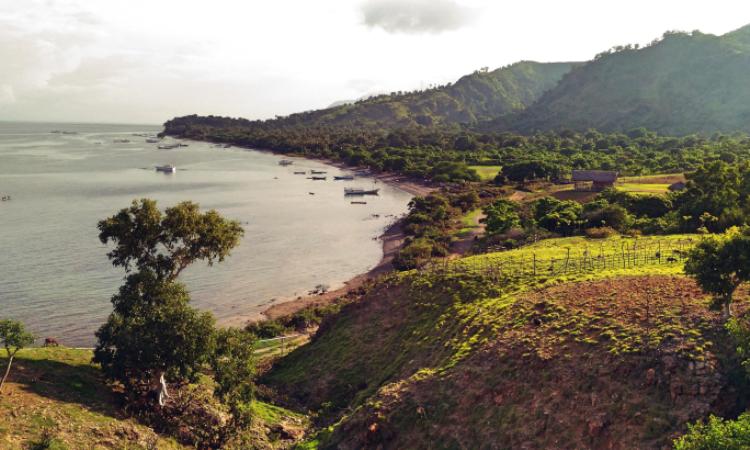 Pulau Atauro