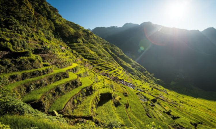 Sawah Banaue atau Banaue Rice Terraces