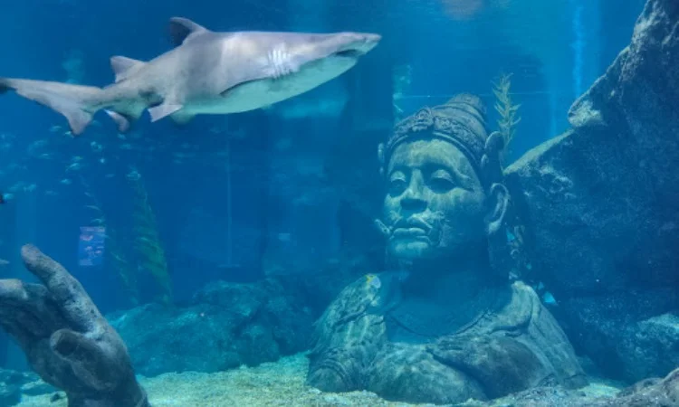 Siam Ocean World Bangkok