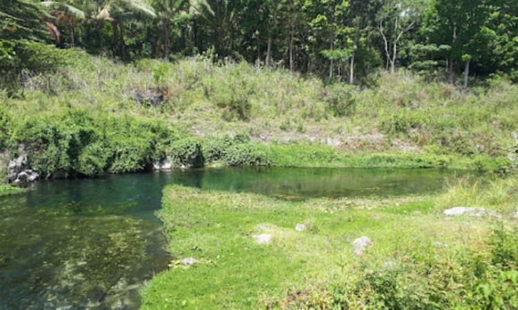 Taman Nasional Nino Konis