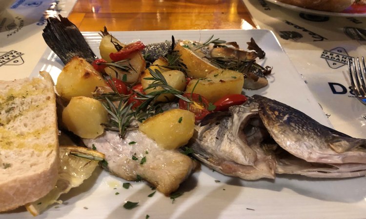 Barramundi