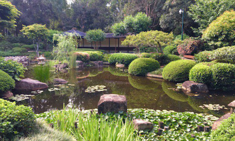 Brisbane Botanic Gardens Mount Coot-tha