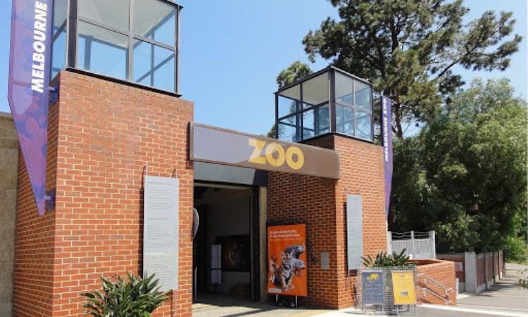 Melbourne Zoo