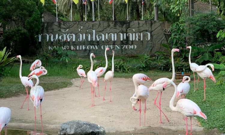 Kebun Binatang Khao Kheow