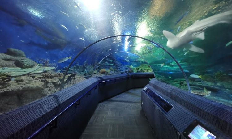 Underwater World Pattaya