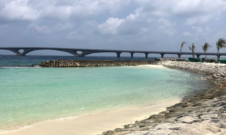 Male Artificial Beach