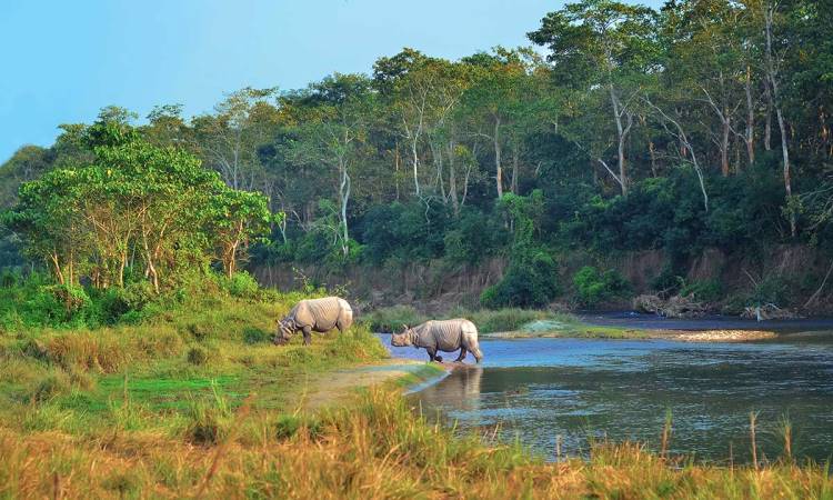 Taman Nasional Chitwan
