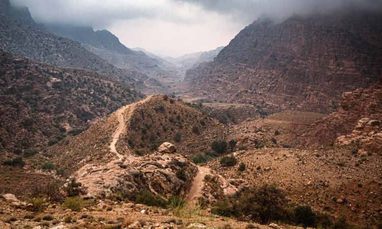 Dana Nature Reserve