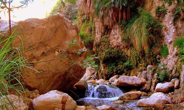 Wadi Bin Hammad