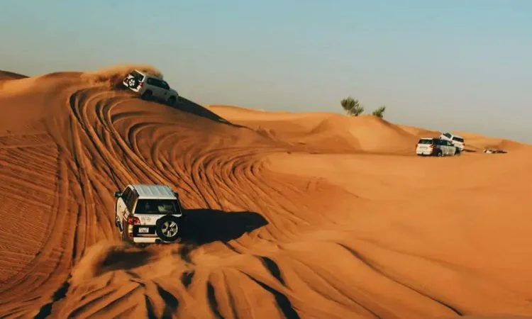 Desert Safari