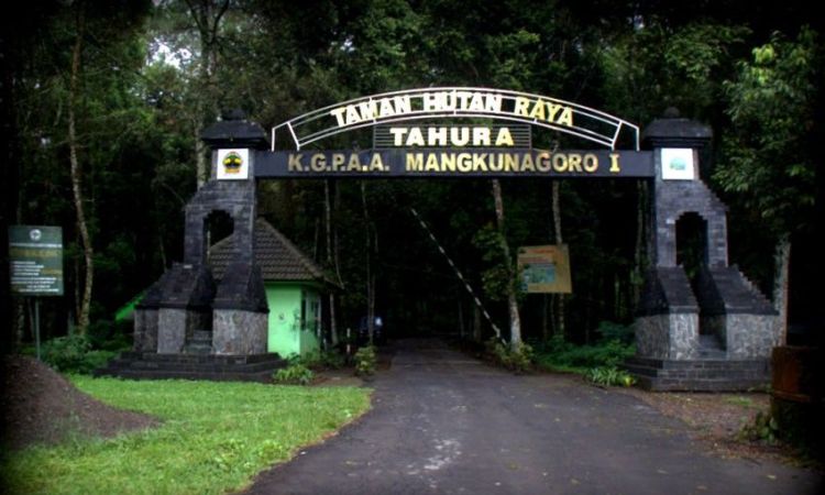 Taman Hutan Rakyat