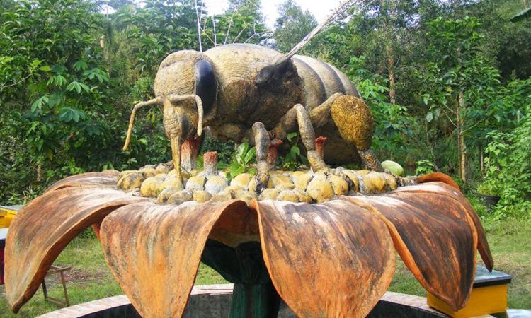Agro Tawon Rimba Raya