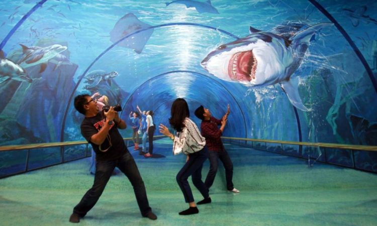 Amazing Art World