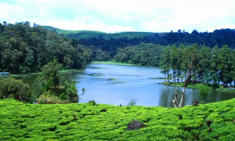 Danau Situ Patenggang