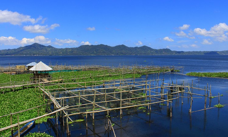 Danau Tondano