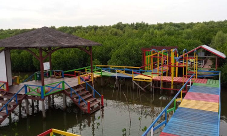 Ekosistem Mangrove Lantebung