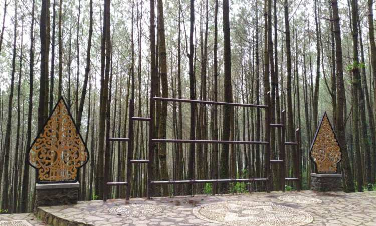 Hutan Pinus Kayon Semarang