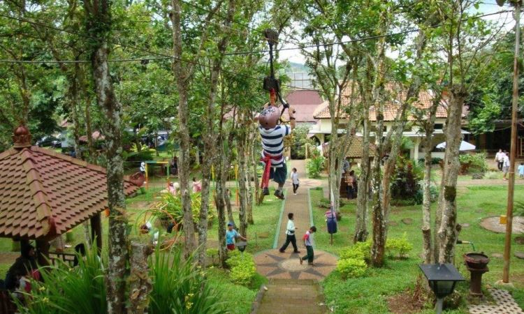 Kampoeng Kopi Banaran