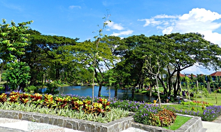 Kebun Bibit Wonorejo