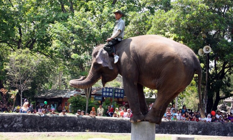 Kebun Binatang Gembira loka