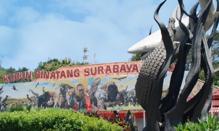 Kebun Binatang Surabaya