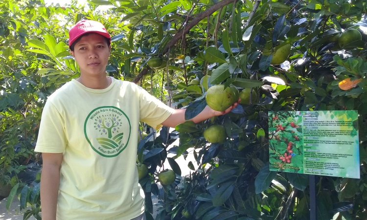 Kebun Buah Langka Sedayu