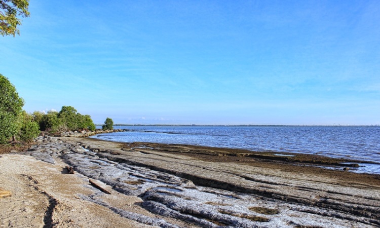 Pantai Kuri Caddi