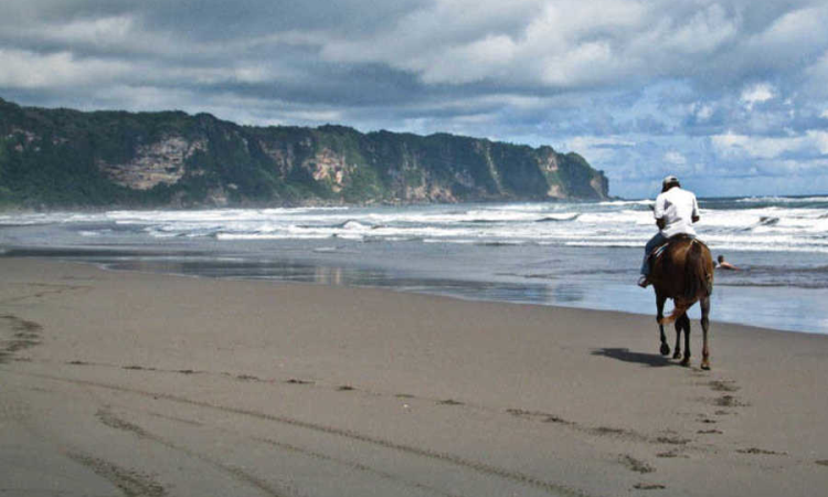 Pantai Parangtritis