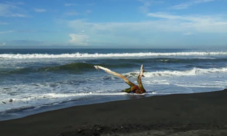 Pantai Samas