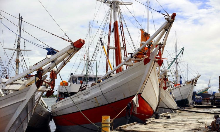 Pelabuhan Paotere