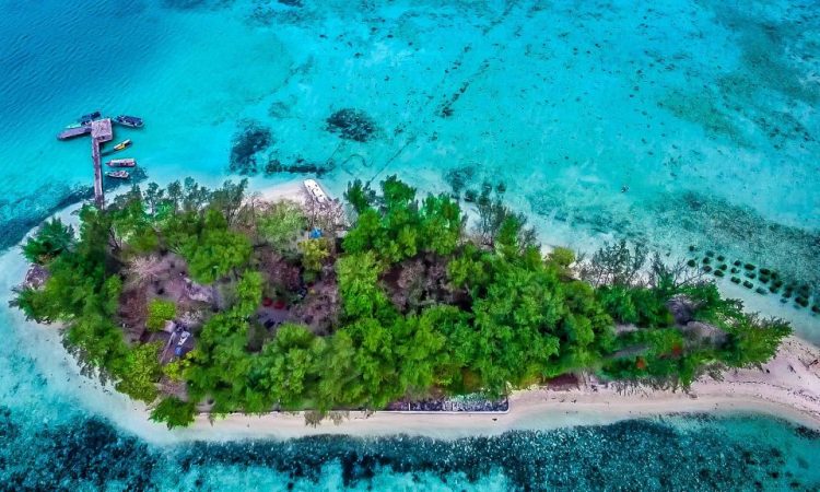 Pulau Semak Daun