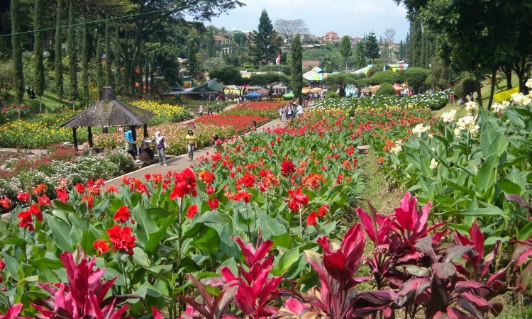 Taman Bunga Nusantara