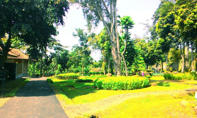 Taman Djamoe Indonesia