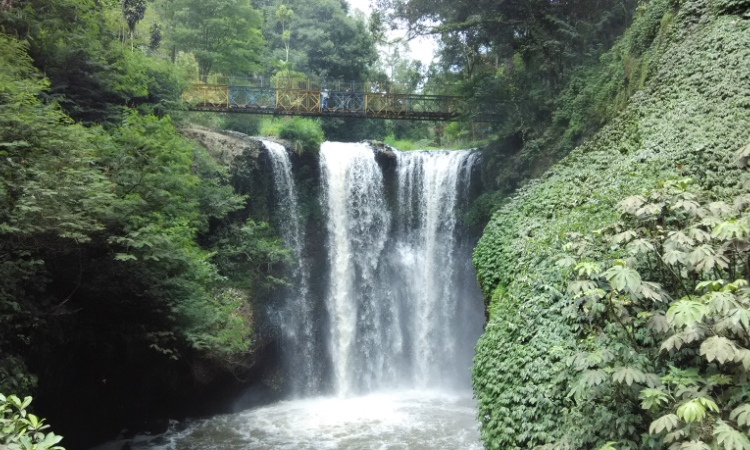 Taman Hutan Raya Ir. H. Djuanda
