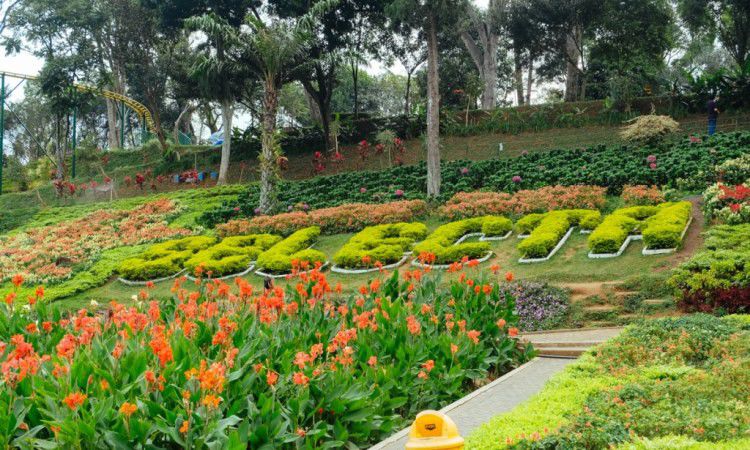 Taman Wisata Selecta