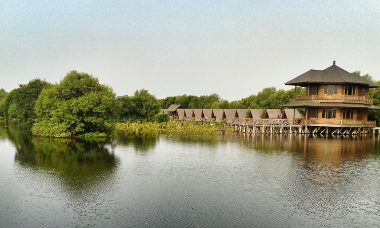 Wisata Alam Angke Apuk