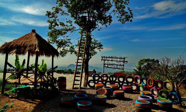 Wisata Kampung Krisan Clapar