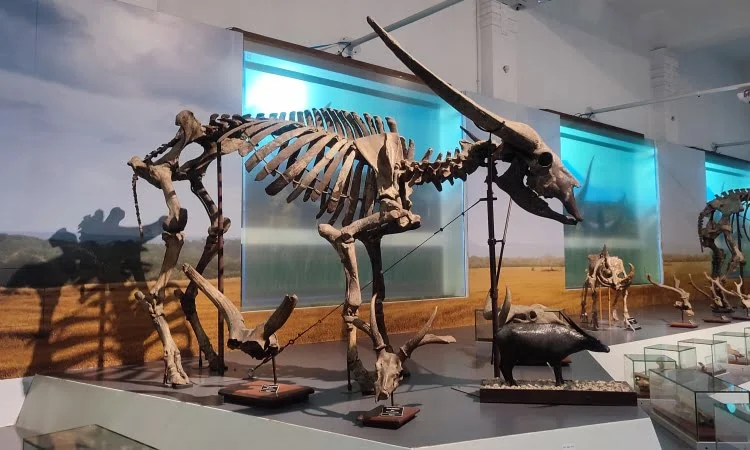 Wisata Museum Geologi Bandung