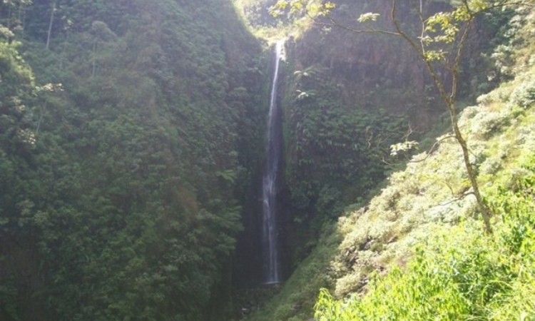 Air Terjun Coban Wilis