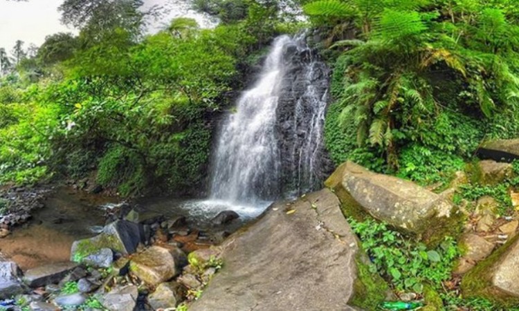 Curug Cipurut