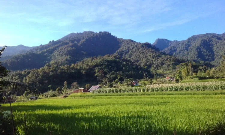 Desa Wisata Tajur