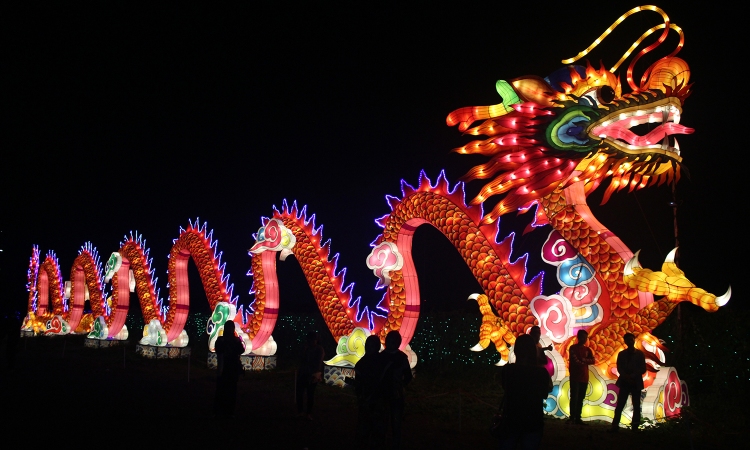 Garden Lantern Maze Market
