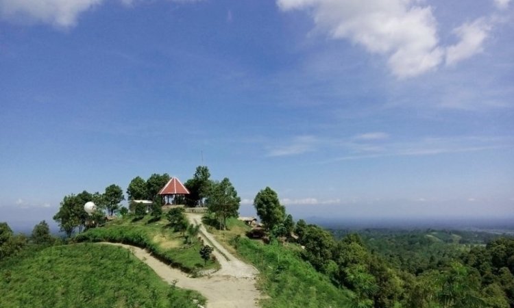 Gardu Pandang Perkebunan