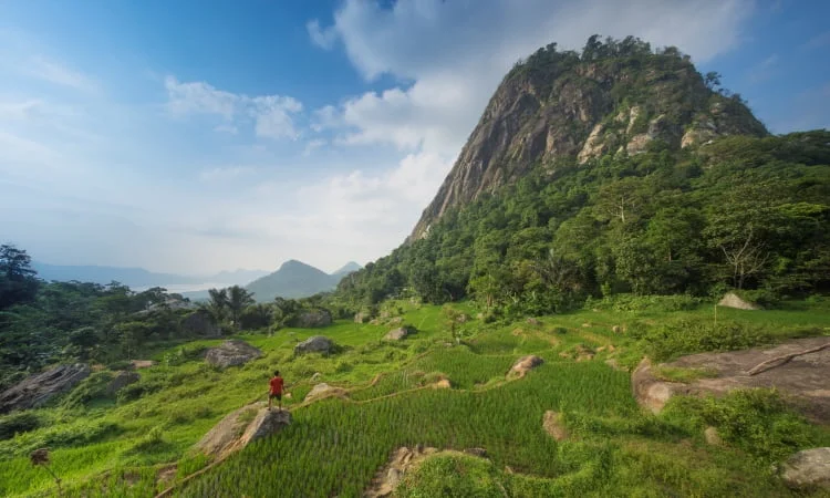 Gunung Parang