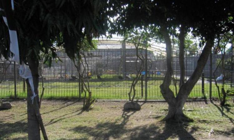 Kebun Binatang Gudang Garam
