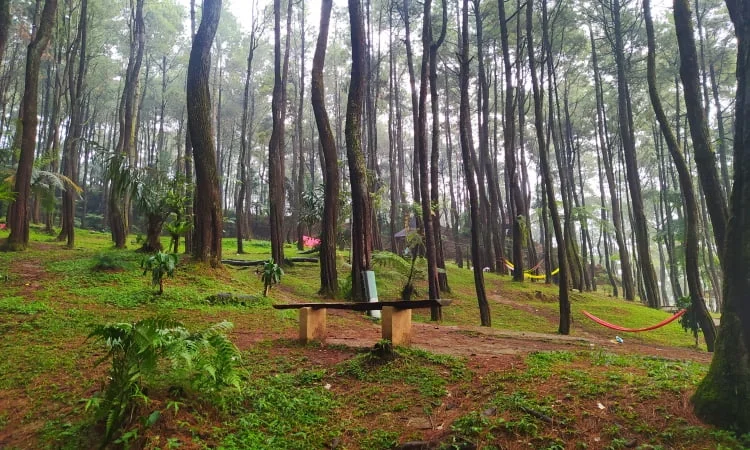 Tempat Wisata di Purwakarta, Pasir Langlang Panyawangan